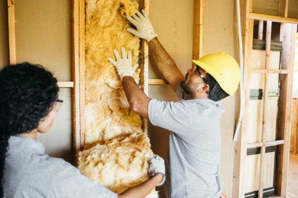 Types of Insulation We Offer in Wewahitchka, FL